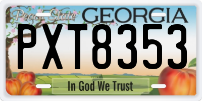 GA license plate PXT8353