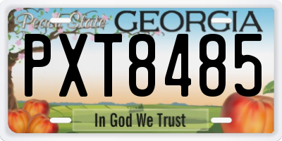 GA license plate PXT8485