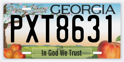 GA license plate PXT8631