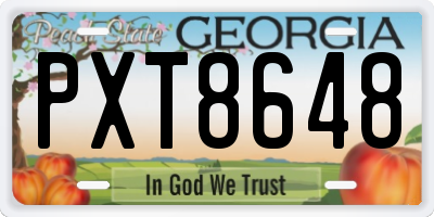 GA license plate PXT8648