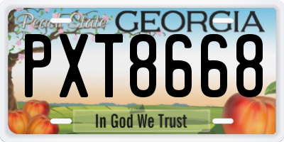 GA license plate PXT8668