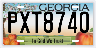 GA license plate PXT8740