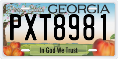 GA license plate PXT8981