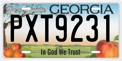 GA license plate PXT9231