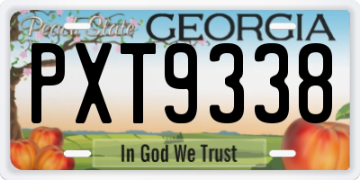 GA license plate PXT9338