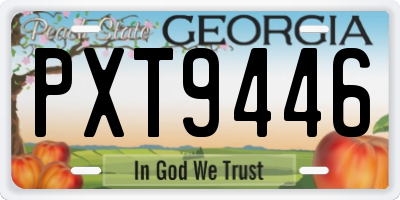 GA license plate PXT9446