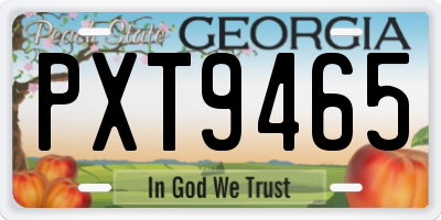 GA license plate PXT9465