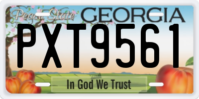 GA license plate PXT9561