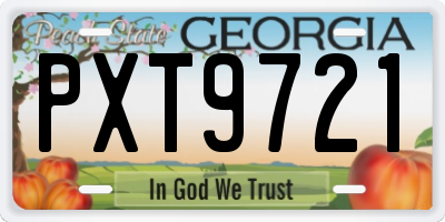 GA license plate PXT9721