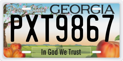 GA license plate PXT9867