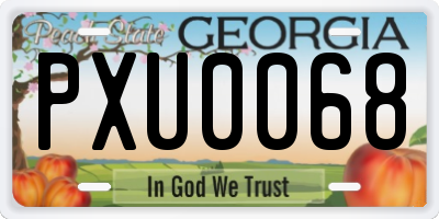 GA license plate PXU0068