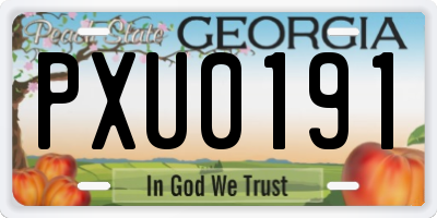 GA license plate PXU0191