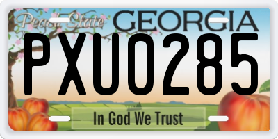 GA license plate PXU0285