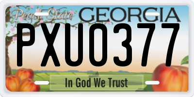GA license plate PXU0377