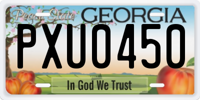 GA license plate PXU0450