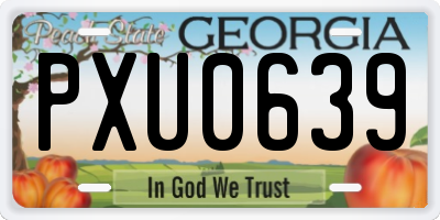 GA license plate PXU0639