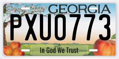 GA license plate PXU0773