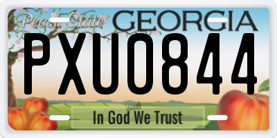 GA license plate PXU0844