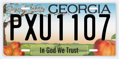GA license plate PXU1107