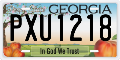 GA license plate PXU1218