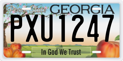 GA license plate PXU1247