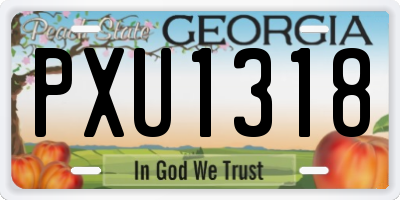 GA license plate PXU1318