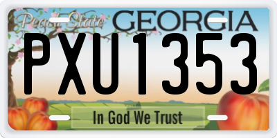 GA license plate PXU1353