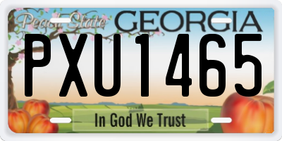 GA license plate PXU1465