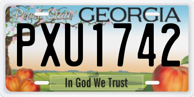 GA license plate PXU1742