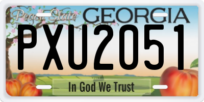 GA license plate PXU2051