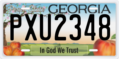 GA license plate PXU2348