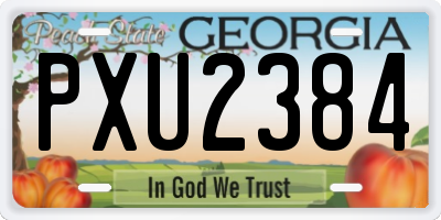 GA license plate PXU2384