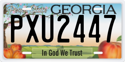 GA license plate PXU2447