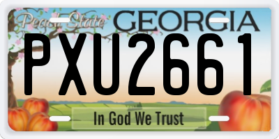 GA license plate PXU2661