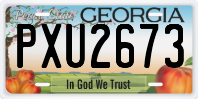 GA license plate PXU2673