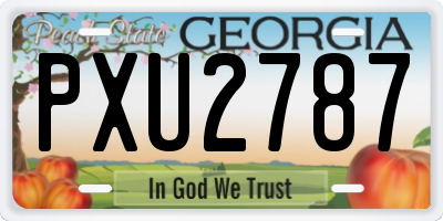 GA license plate PXU2787