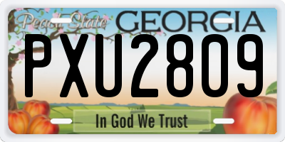 GA license plate PXU2809