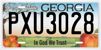 GA license plate PXU3028