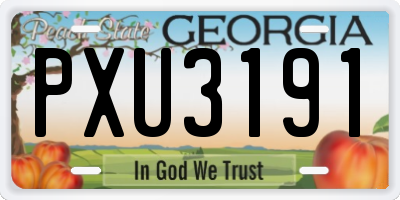 GA license plate PXU3191