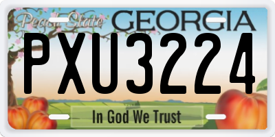GA license plate PXU3224