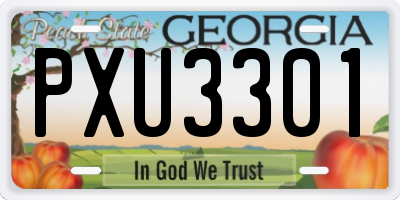 GA license plate PXU3301