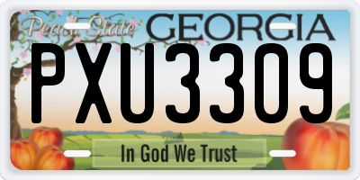 GA license plate PXU3309