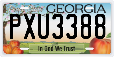 GA license plate PXU3388