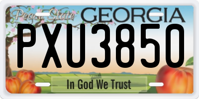 GA license plate PXU3850