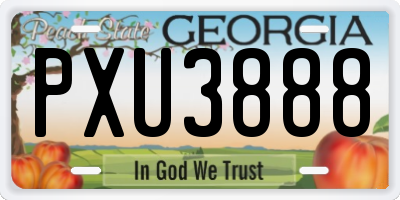 GA license plate PXU3888