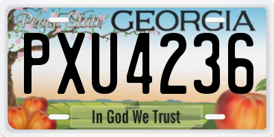 GA license plate PXU4236