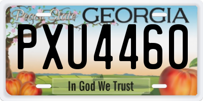 GA license plate PXU4460