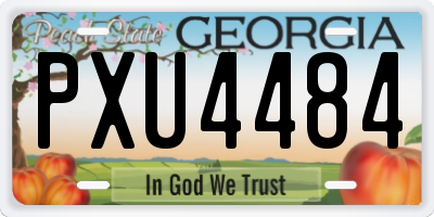 GA license plate PXU4484