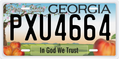 GA license plate PXU4664