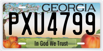 GA license plate PXU4799